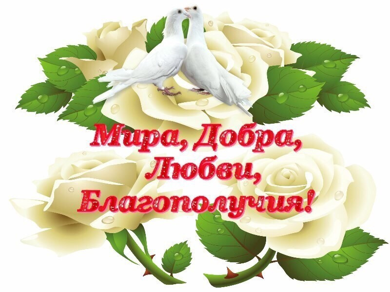 Картинки мира здоровья