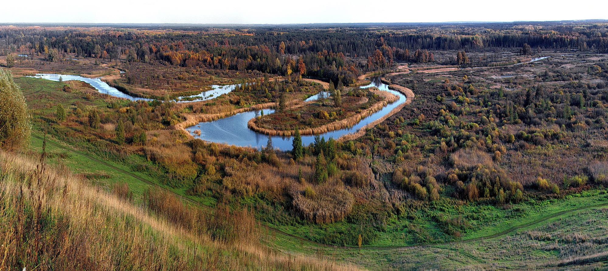 Река Битюг Воронежской области фото