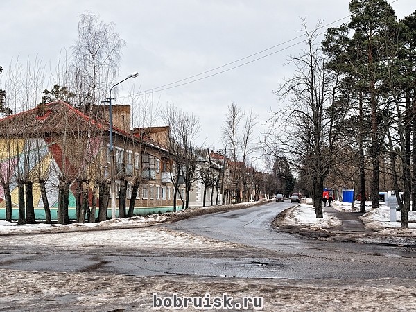 Киселевичи бобруйск карта