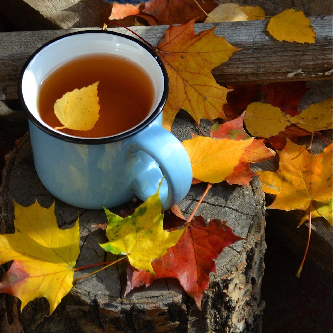 Осеннее утро картинки. Осенний чай. Осень чай. Утро осень. Осень чай листья.
