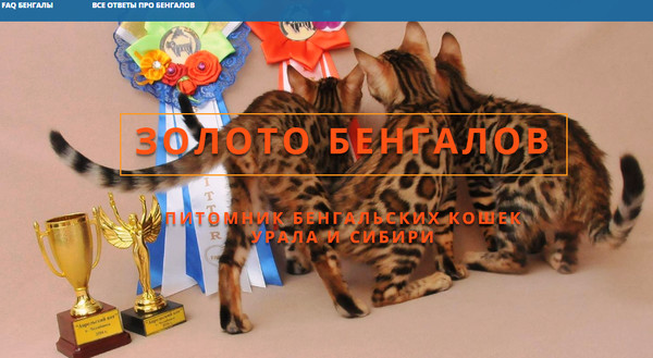 Питомник Бенгальских кошек Золото Бенгалов Екатеринбург