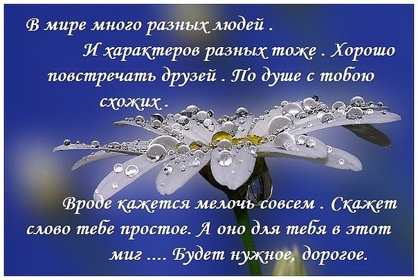 Словами желаю, картинки с пожеланиями поддержки