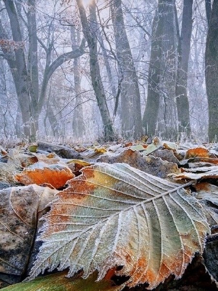 Успокойся. Вдохни. Знаешь, скоро зима...
И из серых вдруг белыми станут дома,
Снова праздники, жизнь, суета и мороз,
Гололед на дорогах, обветренный нос...
Мы рождаемся вновь с самой чистой душой.
Успокойся. Вдохни. Будет всё хорошо...

Анастасия Ермашкевич