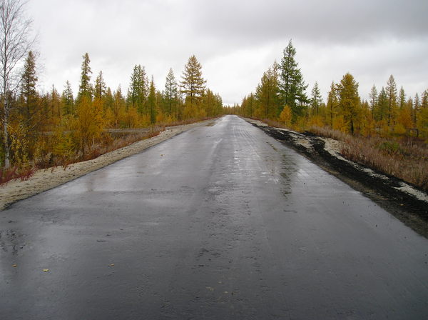 Пангоды погода на неделю. Пангоды Ямало-Ненецкий. Пгт Пангоды. Пангоды люди. Пангоды фото.