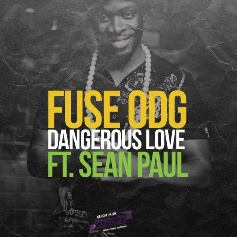 Музыка sean paul. Fuse ODG - Dangerous Love ft. Sean Paul. Шон пол популярные треки. Сеан Паул песни. Z-fuse певец.